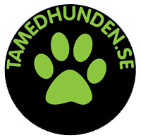 Tamedhunden - hundvänligt boende på vandrarhem